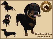 VKC® Dachshund - Artificially Intelligent (AI) Trainable Dog - No Food Required - Virtual Kennel Club Dogs
