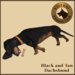 Vkc dachshund market place advert 03
