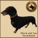 Vkc dachshund market place advert 04