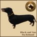 Vkc dachshund market place advert 06