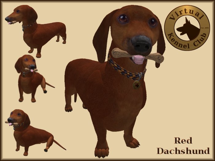 VKC® Red Dachshund - Artificially Intelligent (AI) Trainable Dog - No Food Required - Virtual Kennel Club Dogs