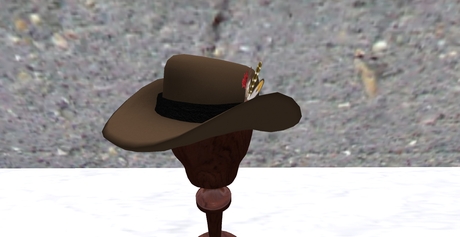 cowboy hat feathers