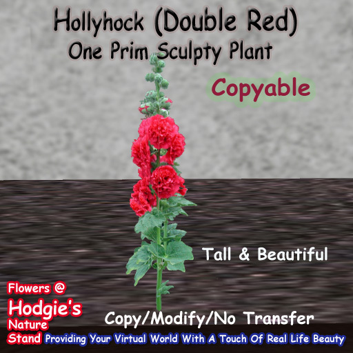 Hodgie's Flowers & Plants  --  Hollyhock (Double Red) (One Prim Sculpty Plant) (COPYABLE)