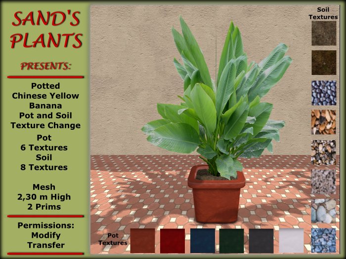 Potted Chinese Yellow Banana, Pot and Soil Texture Change, Mesh
