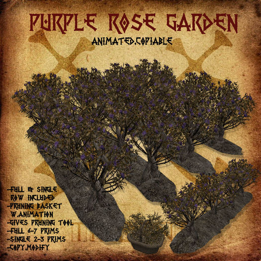 Purple Rose Garden  