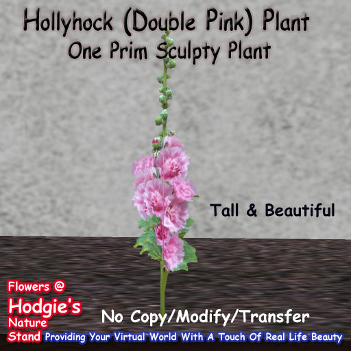 Hodgie's Flowers & Plants  --  Hollyhock (Double Pink) (One Prim Sculpty Plant) One Prim