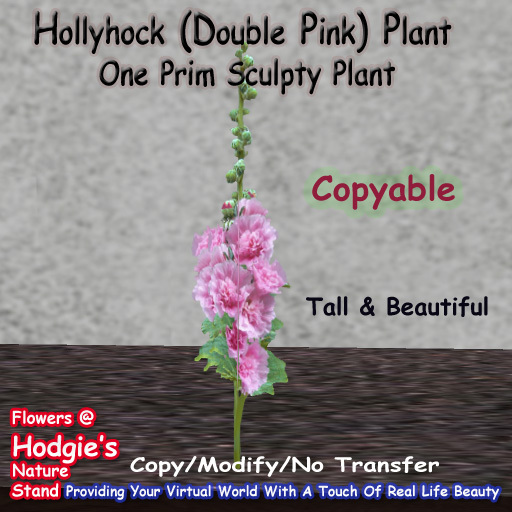 Hodgie's Flowers & Plants  --  Hollyhock (Double Pink) ( One Prim Sculpty Plant) (Copyable)