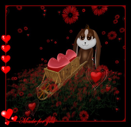 Carrying our hearts