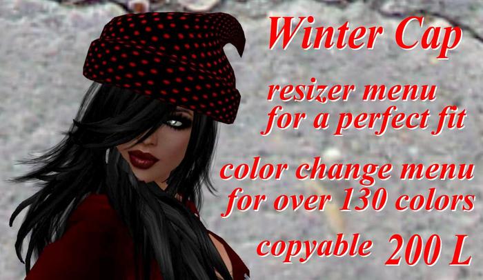 Winter Cap
