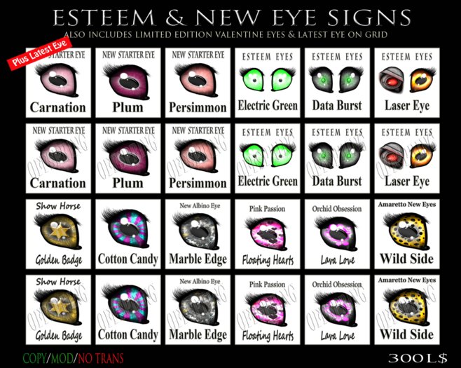 ESTEEM & NEW EYE SIGNS Update 02.14.2012