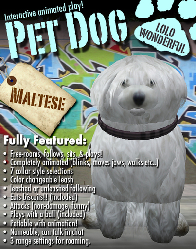 Maltese Dog - LOLO Wonderful Pet Dog