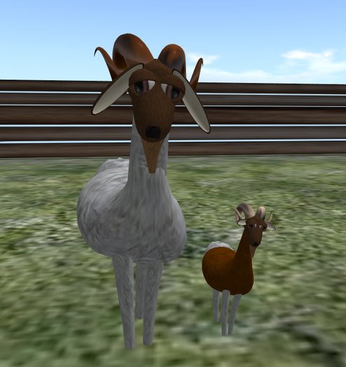 Wingsong Roaming Goat Box