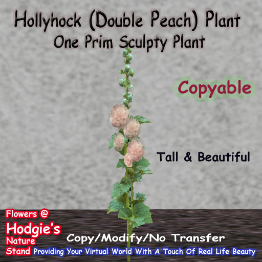 Hodgie's Flowers & Plants  --  Hollyhock (Double Peach) (One Prim Sculpty Plant) (COPYABLE)