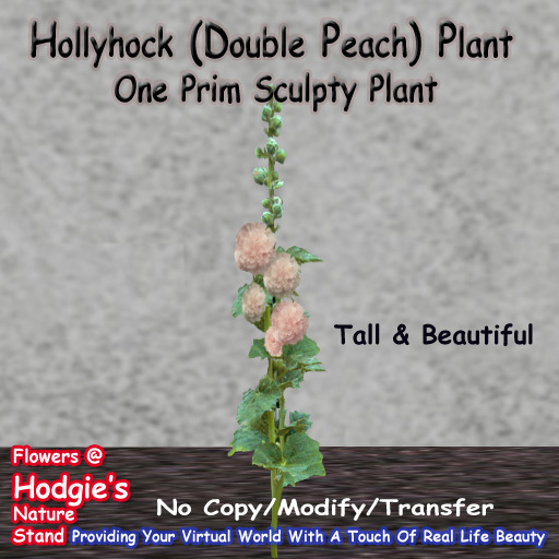 Hodgie's Flowers & Plants  --  Hollyhock (Double Peach) (One Prim Sculpty) One Prim Plant