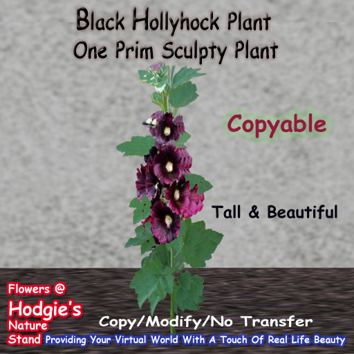 Hodgie's Flowers & Plants  --  Hollyhock (Black) (One Prim Plant) (Copyable)