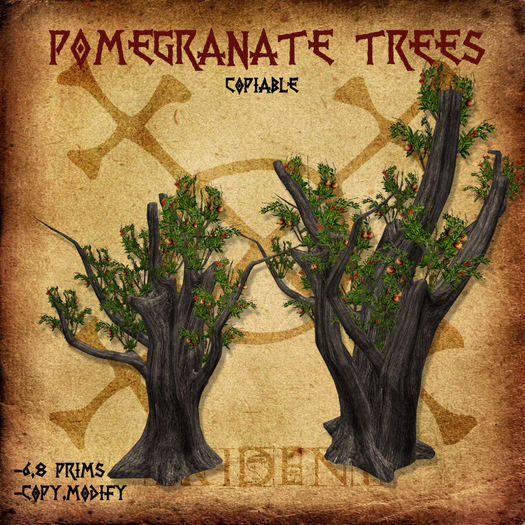 Pomegranate Trees