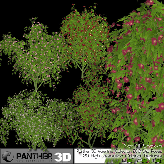 P3D Valentine Collection 2012 Wild Roses