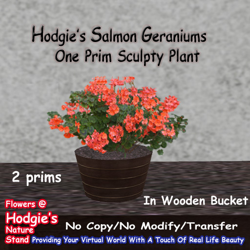 Hodgie's Flowers & Plants  --  Salmon Geranium Plant In Wooden Bucket (One Prim Sculpty Plant) (One 