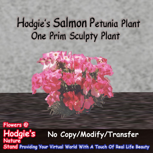 Hodgie's Flowers & Plants  --  Salmon Petunia Plant (One Prim Sculpty Plant) (One Prim Plant)