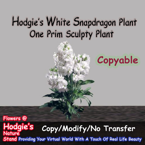 Hodgie's Flowers & Plants  --  White Snapdragon Plant (One Prim Sculpty) (One Prim) Plant (COPYABLE)