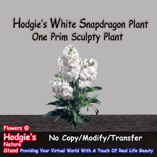 Hodgie's Flowers & Plants  --  White Snapdragon Plant (One Prim Sculpty Plant) One Prim