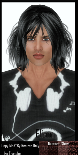 *~*Damselfly*~*Eilam Russet Glow