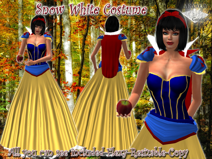 Snow White Costume * SPECIAL PRICE Mardi Gras Promo *
