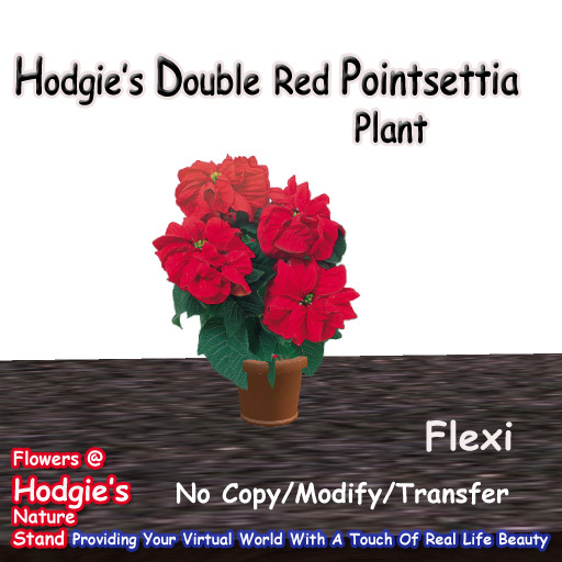 Hodgie's Bouquets & Plants  --  Poinsettia (Dbl) (Red) Flexi Plant in Sculptie Pot   Christmas