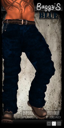 --[ PnD ]-- Baggy's Blue