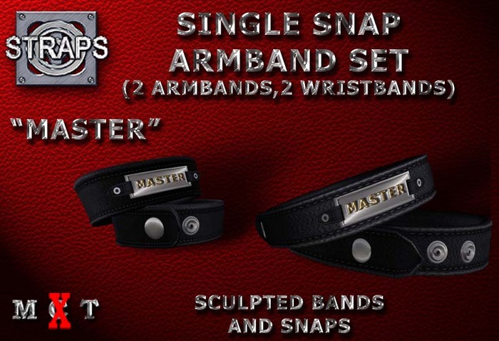 STRAPS - Single Snap Armband Set "Master"