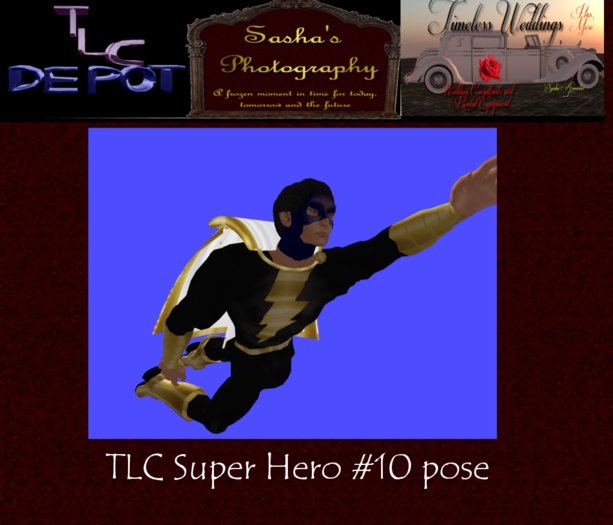 TLC Depot (box) Super Hero #10 pose