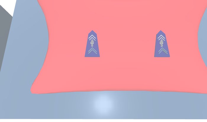 Gendarmerie grade  Brigadier