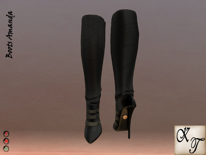 *+:. Boots Amanda .:+*