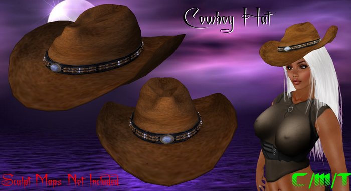Cowboy Hat (BRN) Boxed 