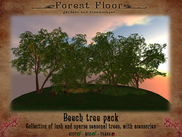 ~*Forest Floor*~ Beech Pack