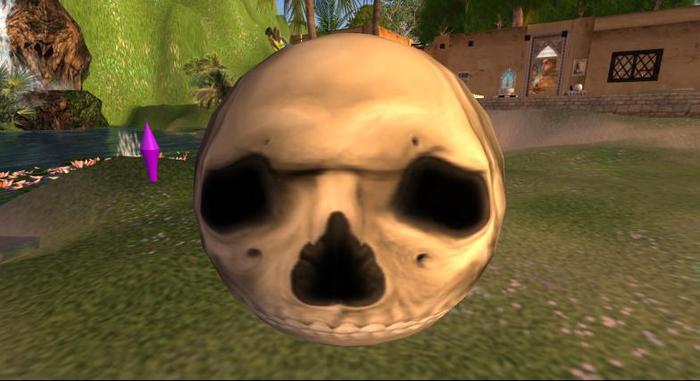 Skull (follower)