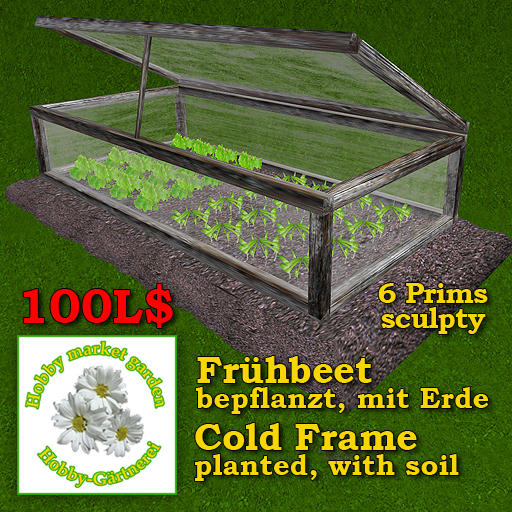 Coldframe with plants and soil