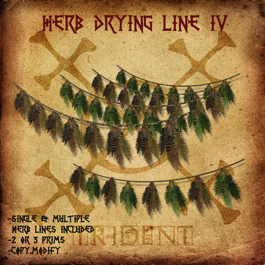 Herb Drying Line IV