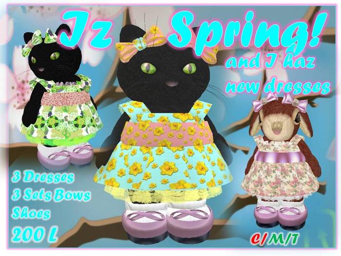 Iz Spring - And I Haz New Dresses