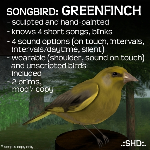 Songbirds: European Greenfinch .:SHD:.