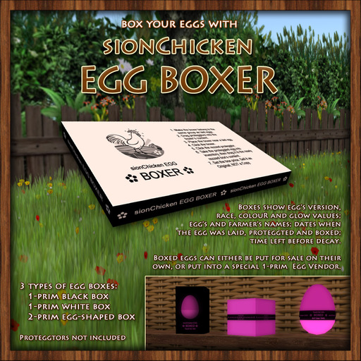 sionChicken Egg Boxer (NO COPY)