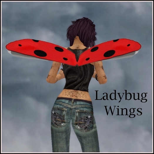 Ladybug Wings