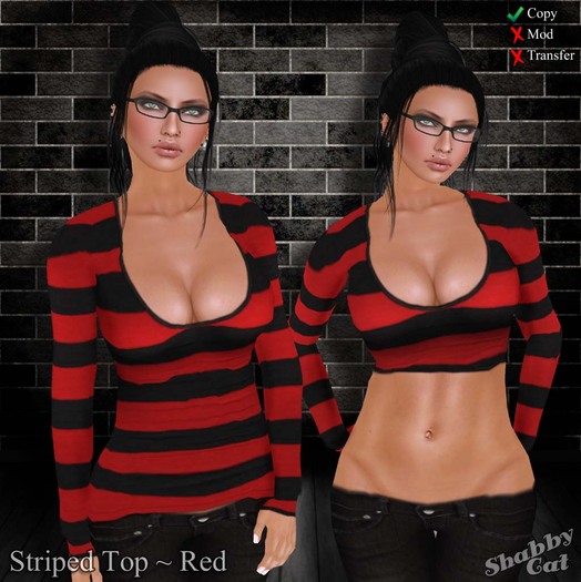 ~Shabby Cat Striped Top (red)~