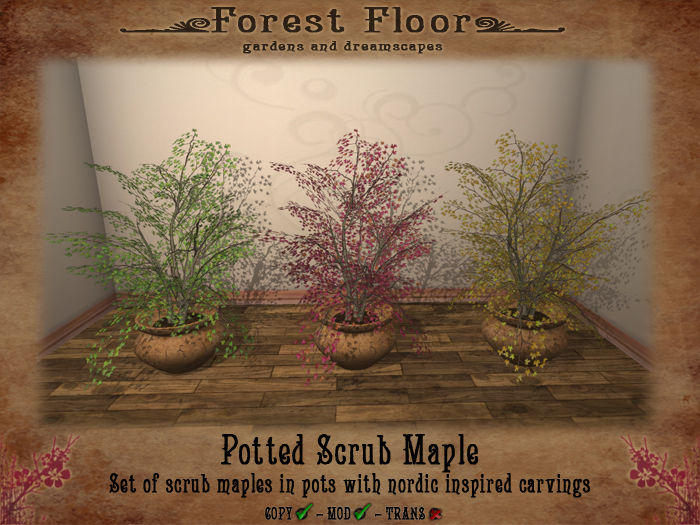 ~*Forest Floor*~ Potted Scrub Maple