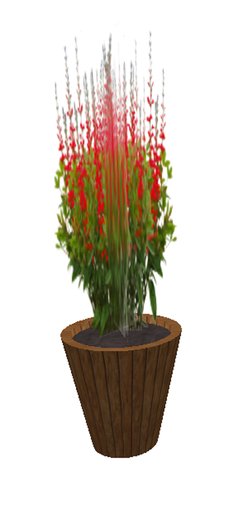 Bapista Bush Red - medium large