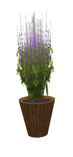 Baptista Bush Blue - medium large
