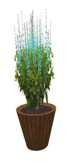 Baptista Bush Light Blue - medium large