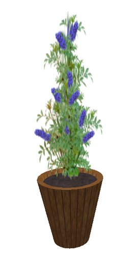 Butterfly Bush Blue- medium large