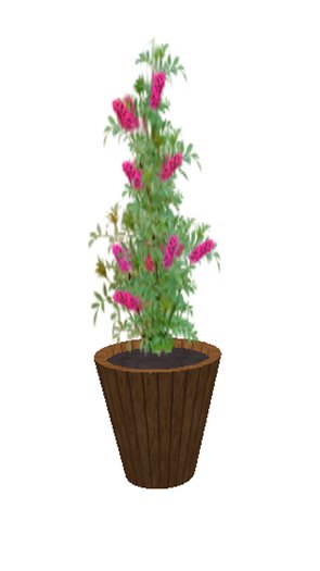 Butterfly Bush Pink- medium large