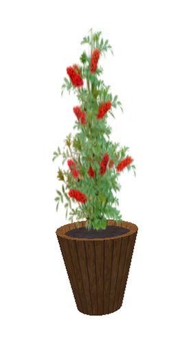 Butterfly Bush Red- medium large